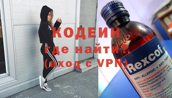 ПСИЛОЦИБИНОВЫЕ ГРИБЫ Вяземский