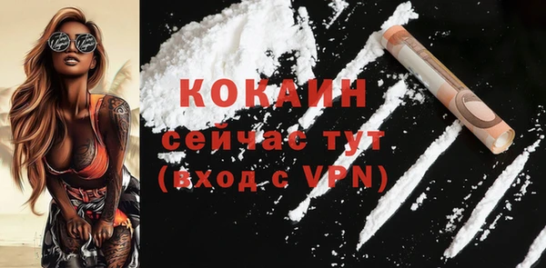 сатива Беломорск