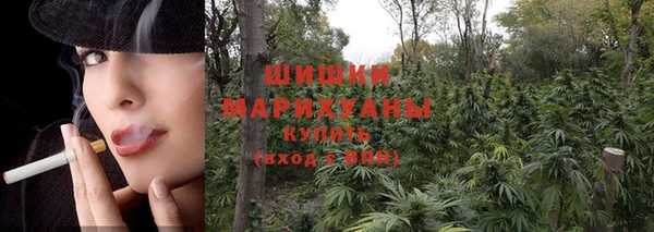 амф Белокуриха