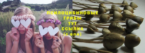 дживик Белоозёрский